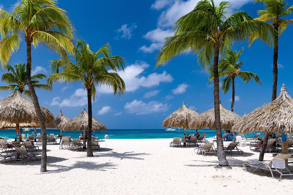 Palm trees and palapas on Eagle Beach Aruba during the day.