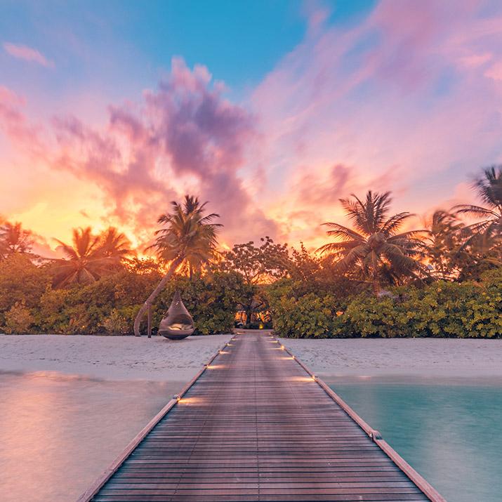Sunset on the beach on Maldives island with palm trees