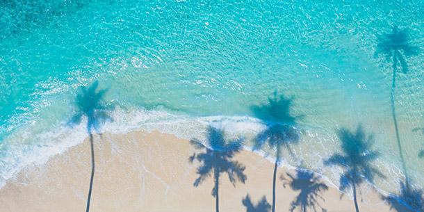 An overhead shot of a white sandy beach meeting clear, shallow turquoise water, with the shadows of several palm trees stretching across the sand.