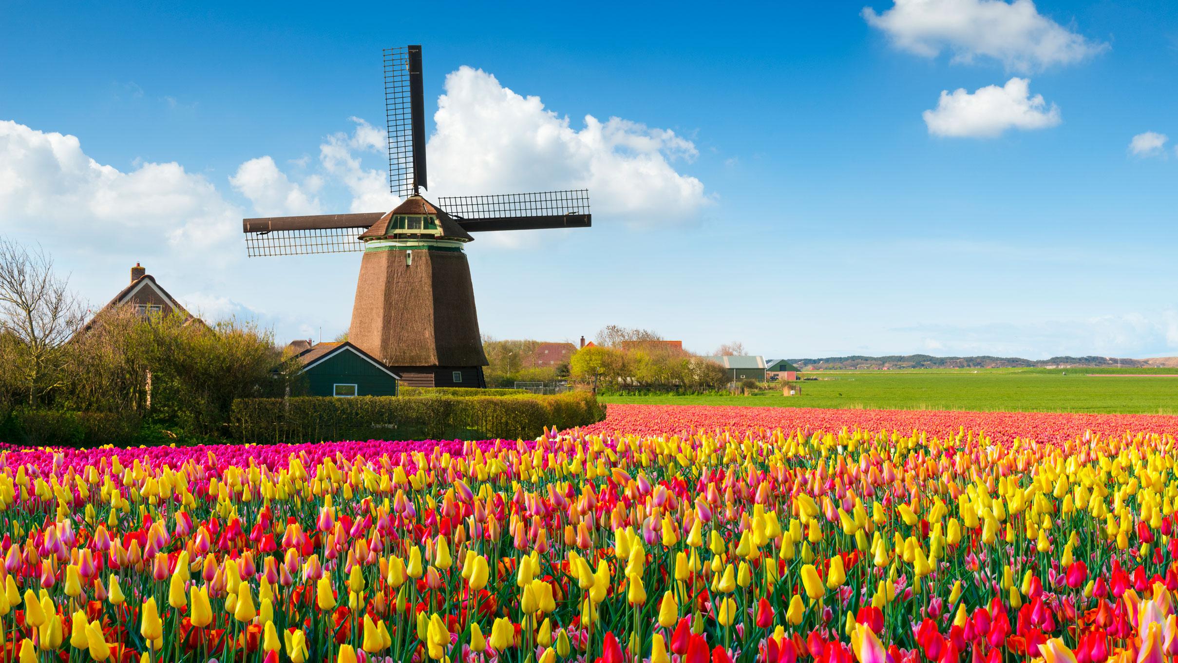 Netherlands